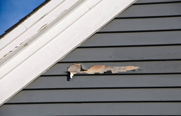 Shed Removal in Waianae, HI